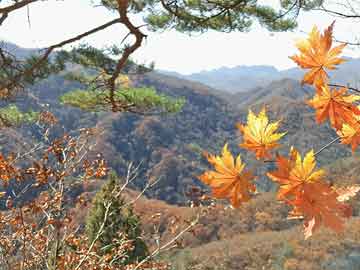 首单！芯片巨头合并超算巨头：海光信息拟吸收合并中科曙光